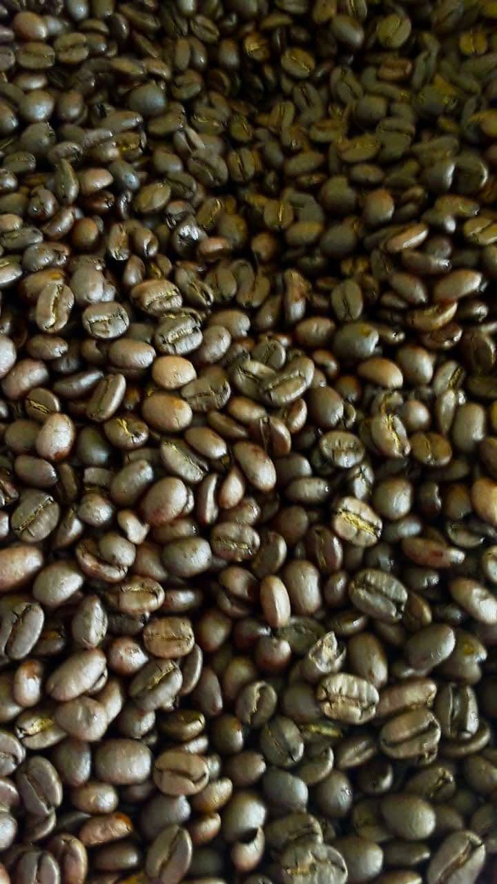 Pertanian Lokal Gallery 4