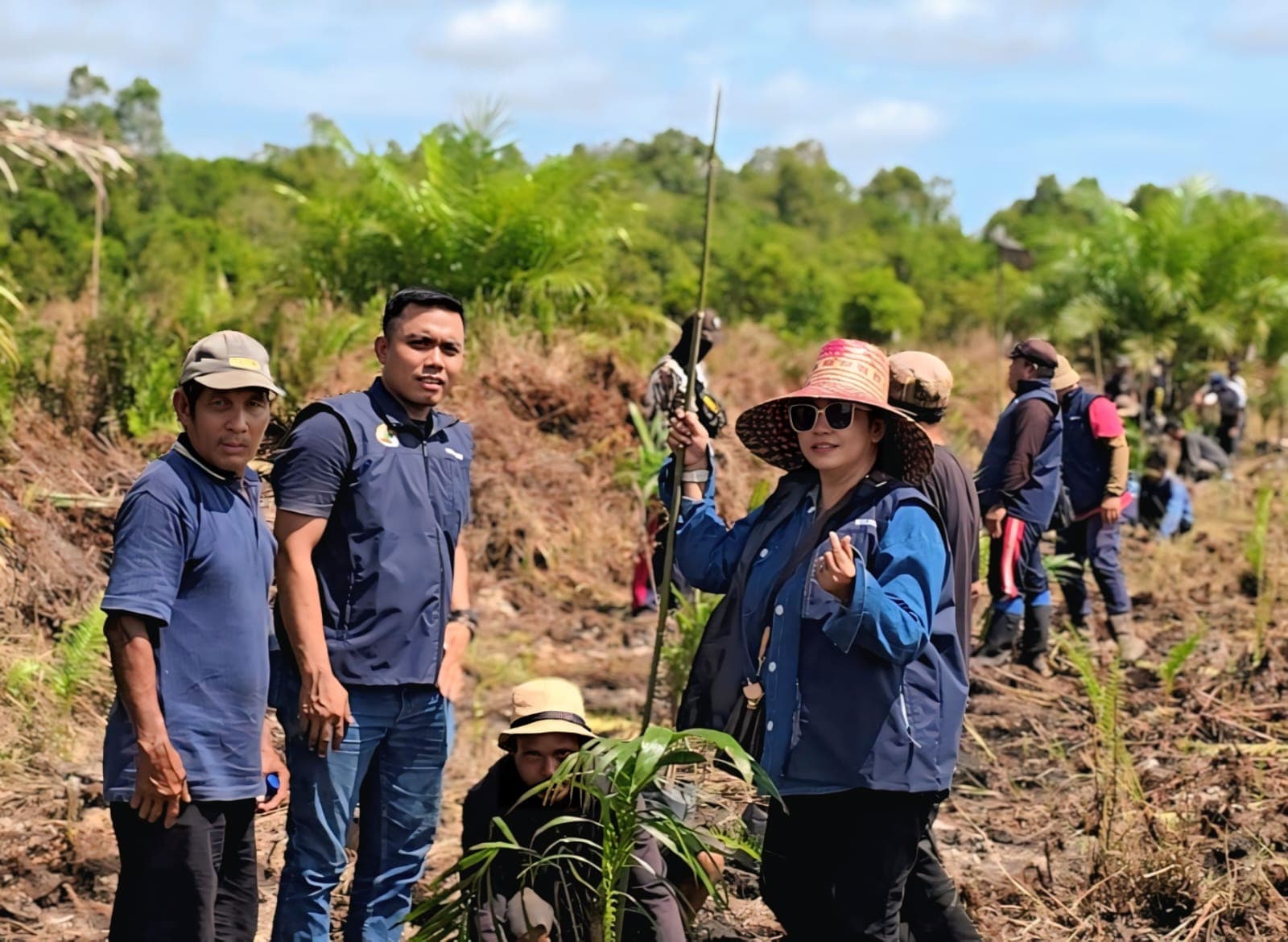 Petani Sawit Profesional